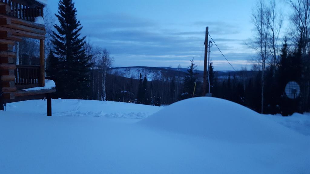 Wildmoon Home Fairbanks Dış mekan fotoğraf