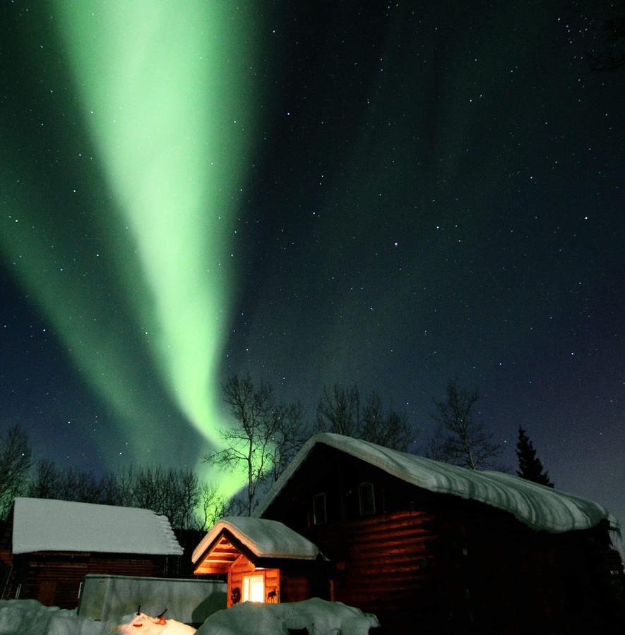 Wildmoon Home Fairbanks Dış mekan fotoğraf