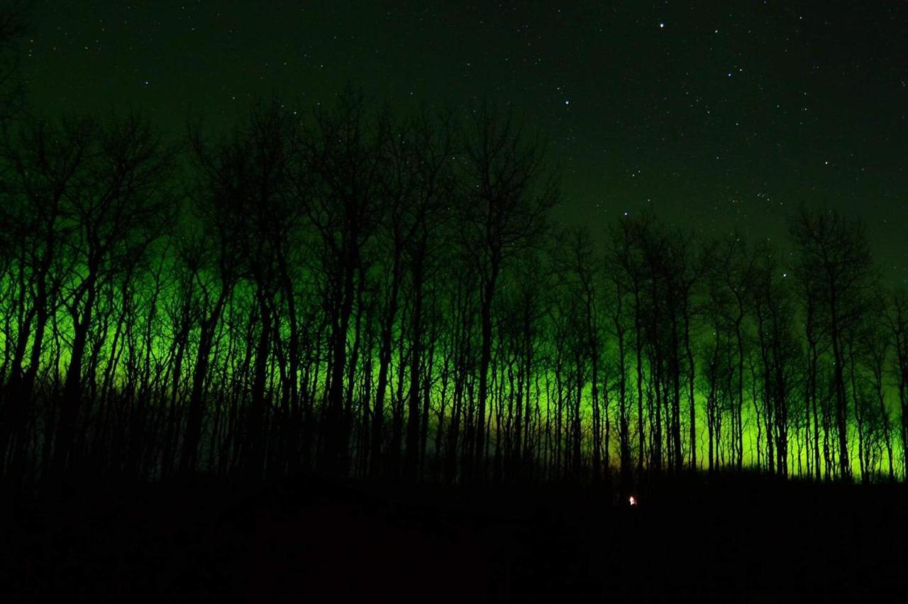 Wildmoon Home Fairbanks Dış mekan fotoğraf